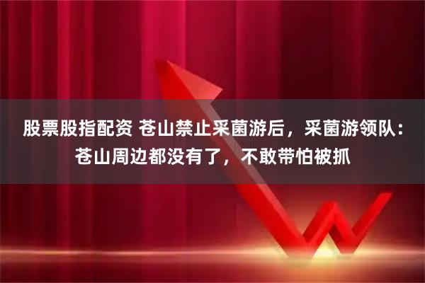 股票股指配资 苍山禁止采菌游后，采菌游领队：苍山周边都没有了，不敢带怕被抓