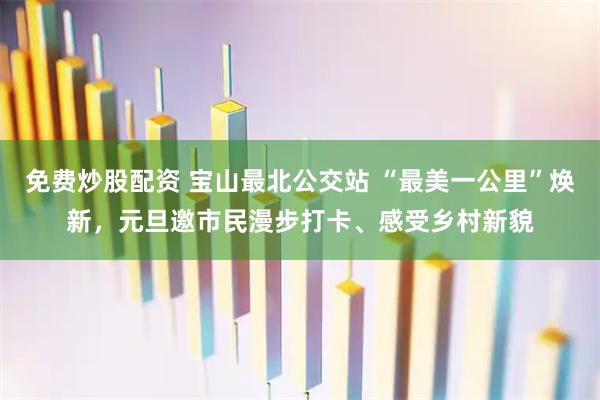 免费炒股配资 宝山最北公交站 “最美一公里”焕新，元旦邀市民漫步打卡、感受乡村新貌