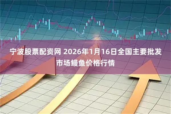 宁波股票配资网 2026年1月16日全国主要批发市场鳗鱼价格行情