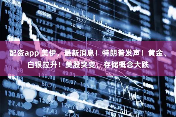 配资app 美伊，最新消息！特朗普发声！黄金、白银拉升！美股突变，存储概念大跌