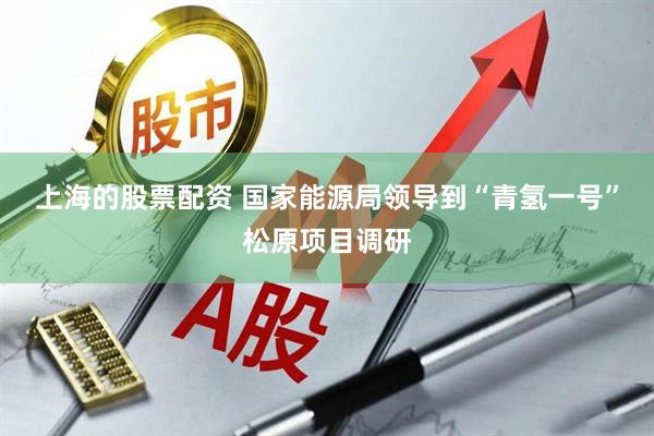 上海的股票配资 国家能源局领导到“青氢一号”松原项目调研